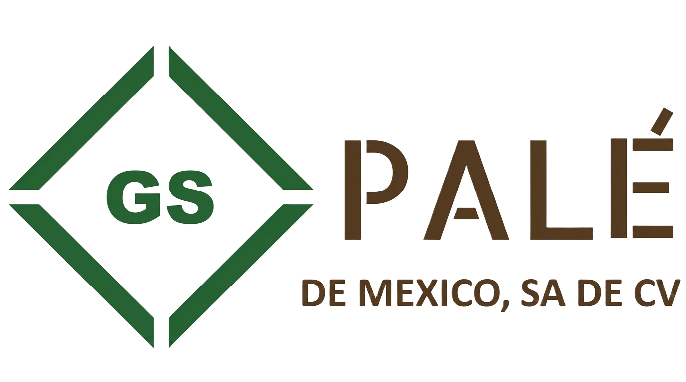 GS PALÉ DE MEXICO, SA DE CV